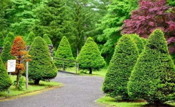 安徽小区园林绿化工程公司介绍